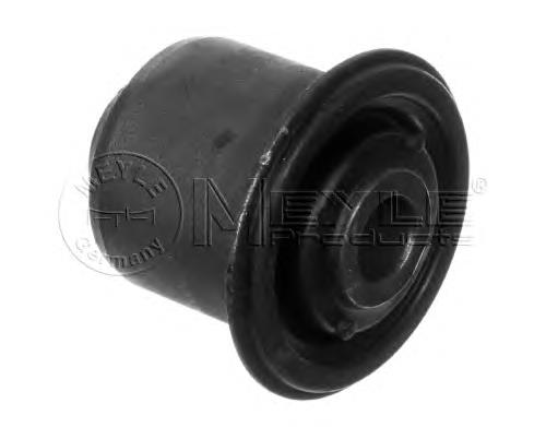 Do koszyka 6040096299 Renault (RVI) Silentblock przedniego wahacza dolnego