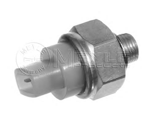 Czujnik temperatury płynu chłodzącego Meyle 1009190027 cena, od 10,39 USD