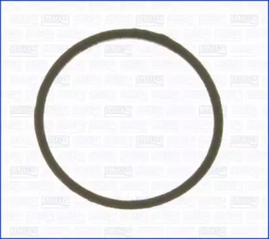 Uszczelka termostatu 00538300 AJUSA