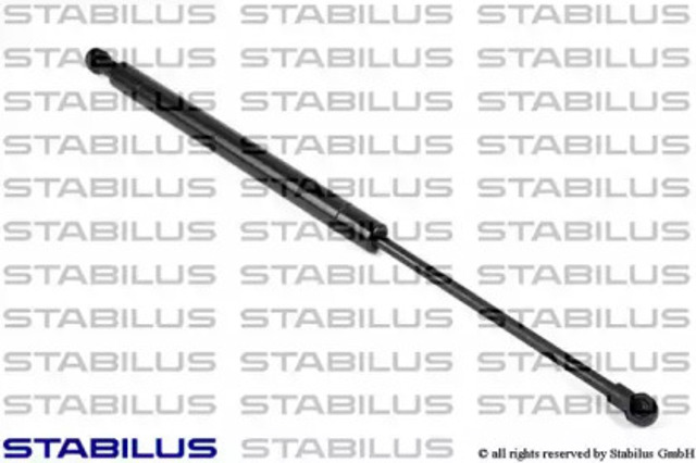 015490 Stabilus
