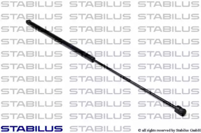017487 Stabilus