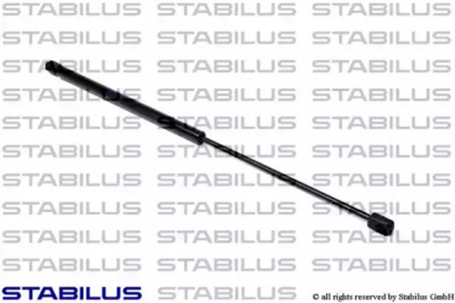 017667 Stabilus