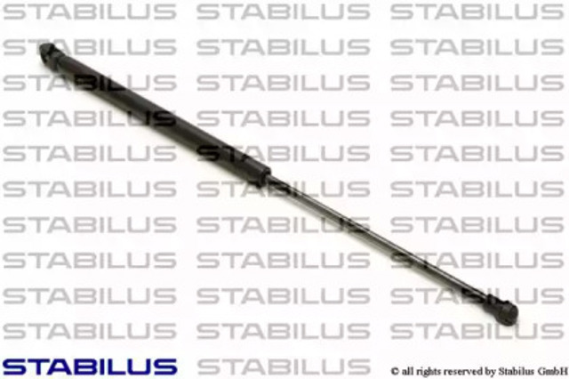 018376 Stabilus