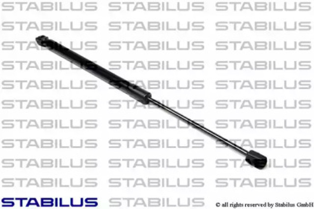 020890 Stabilus