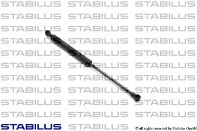0244HW Stabilus