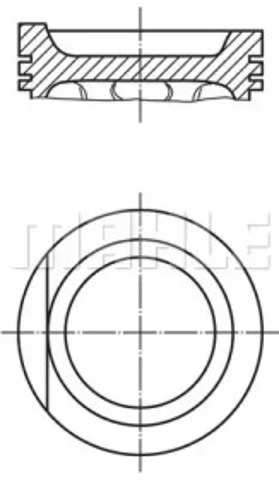 0306013 Mahle Original