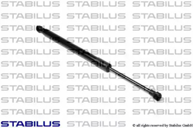 030787 Stabilus