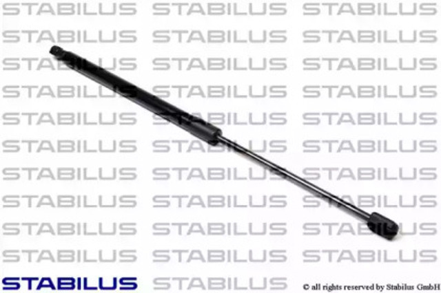 031139 Stabilus