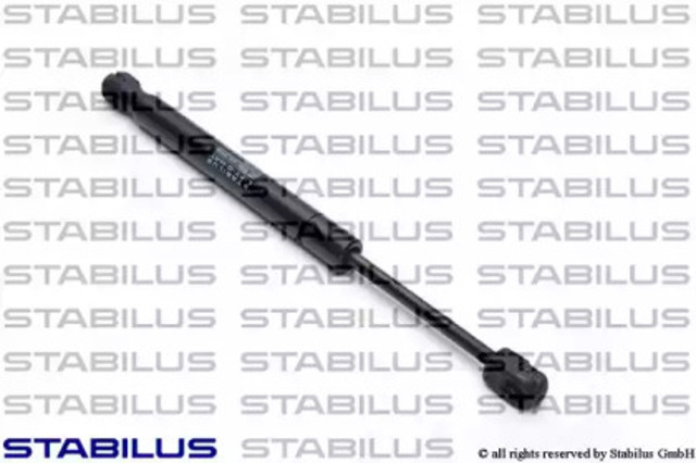 031370 Stabilus