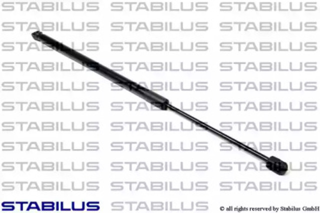 031779 Stabilus