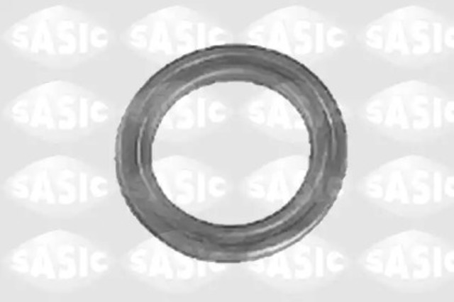 0355395 Sasic