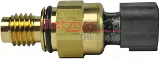 0910088 Metzger