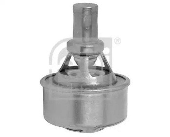 Termostat Renault 25