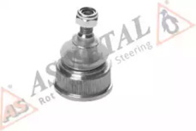 Sworzeń wahacza dolny 10BM0101 AS METAL