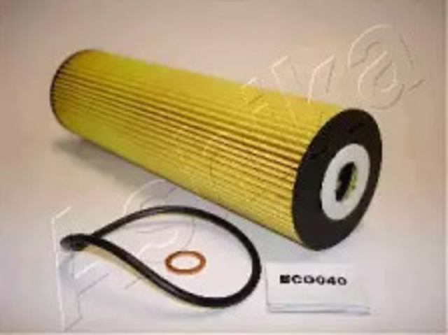 10ECO040 Ashika