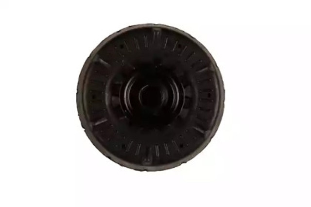 12251384 Bilstein