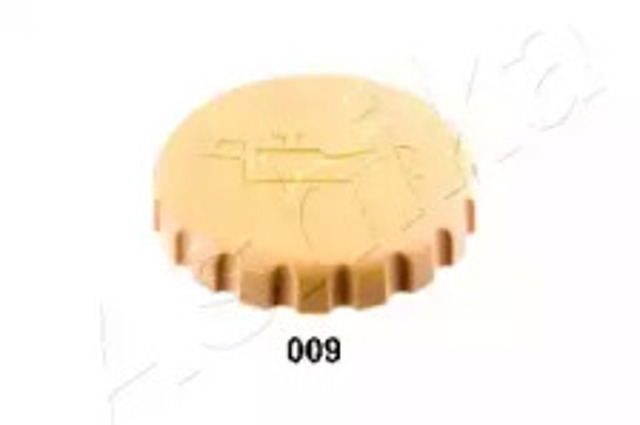 14700009 Ashika