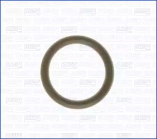 O-ring bagnetu 16056800 AJUSA