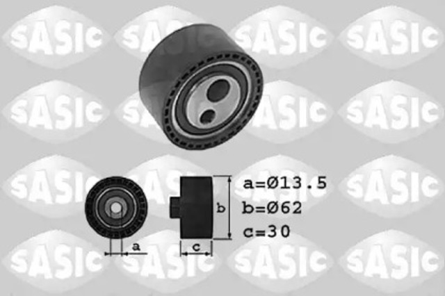 1700011 Sasic
