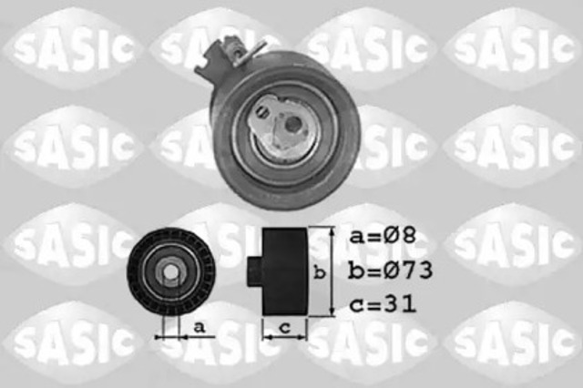 1700018 Sasic
