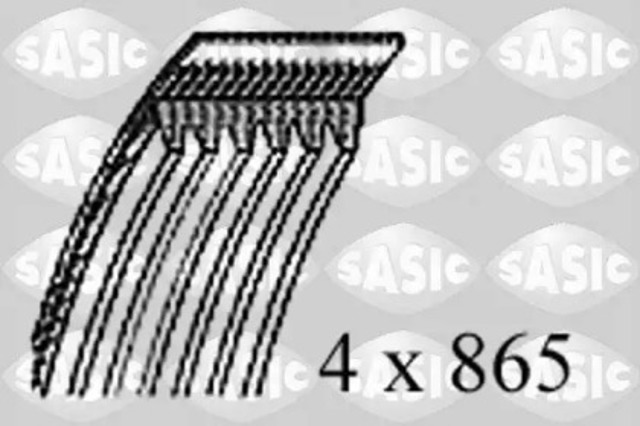 1770012 Sasic
