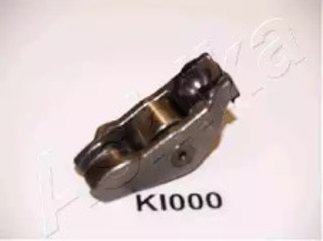17KI000 Ashika