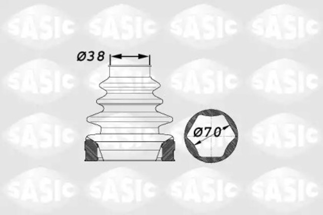 1900012 Sasic