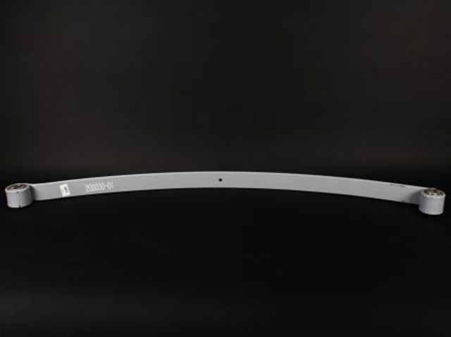20003001 Zilbermann