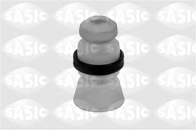 2001025 Sasic
