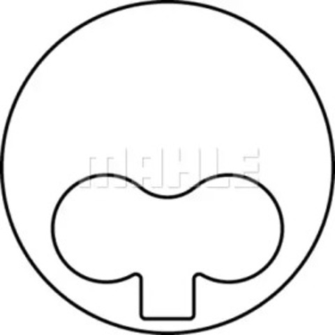 213LW00100001 Mahle Original