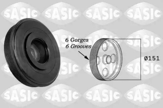 2154020 Sasic