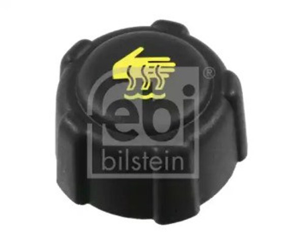 Korek zbiornika wyrównawczego Renault Modus