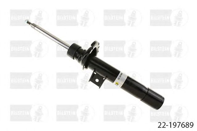22197689 Bilstein