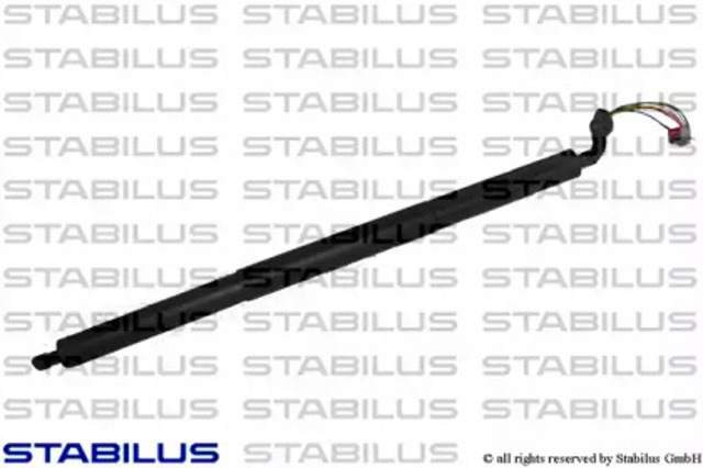 228030 Stabilus