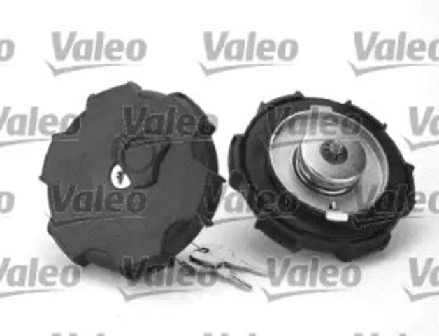 247703 VALEO