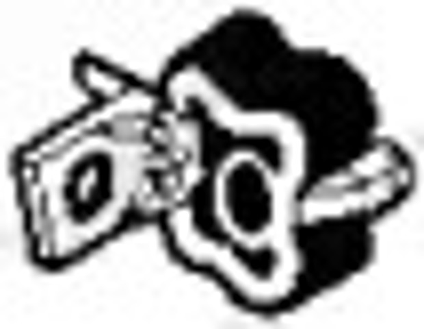 255207 Bosal