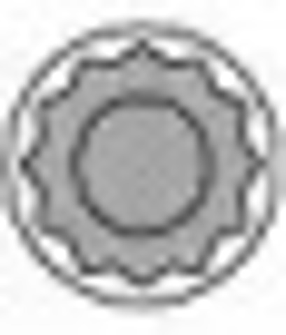 Śruba głowicy cylindrów 258751 AMC