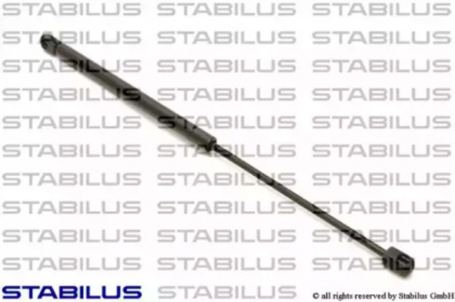 291749 Stabilus