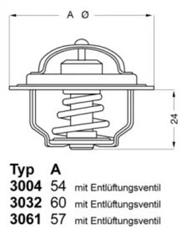 Termostat 300482D1 Wahler