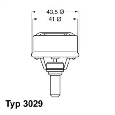 Termostat Renault 25