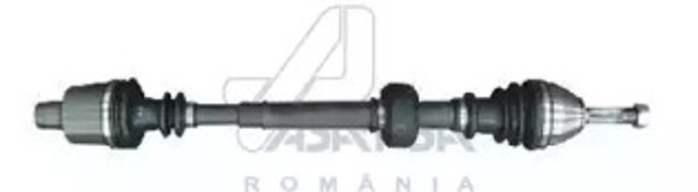30379 Asam