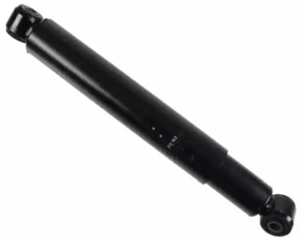 310163 Sachs