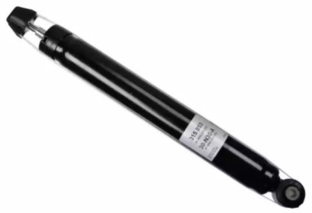 315853 Sachs