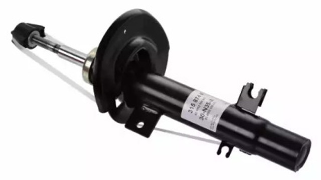 315874 Sachs