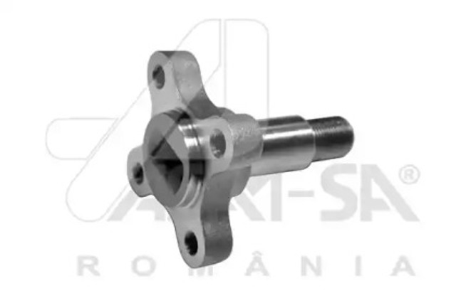 32035 Asam