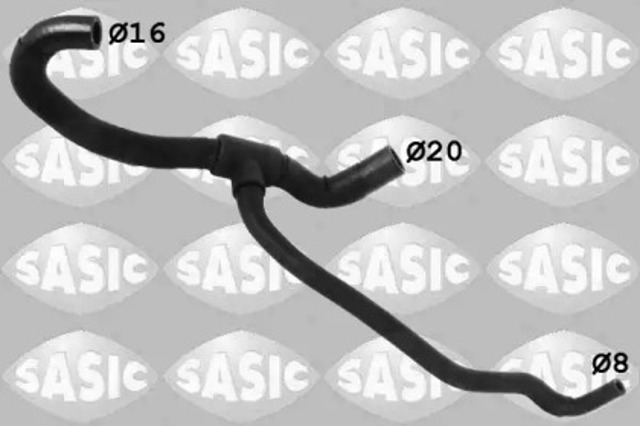 3406263 Sasic