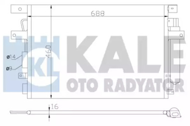343135 Kale