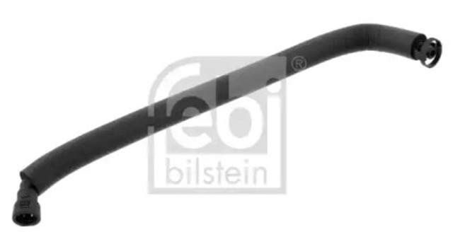 36031 Febi