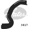 Przewód (króciec) chłodnicy górny 3817 GATES