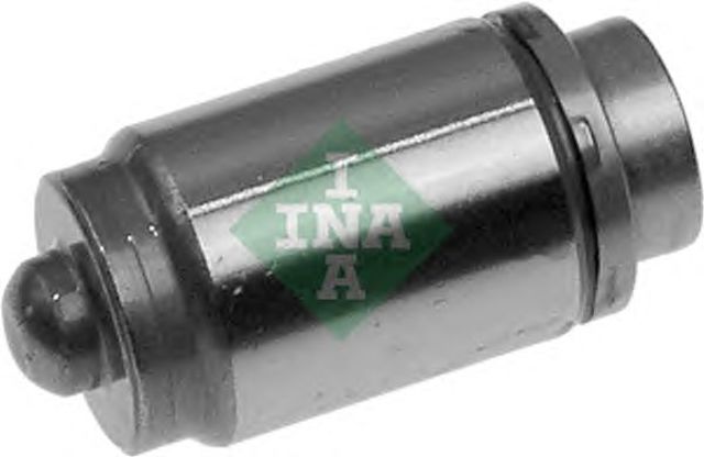 420000310 INA
